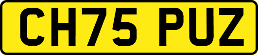 CH75PUZ