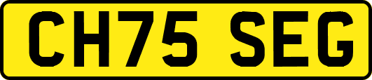 CH75SEG