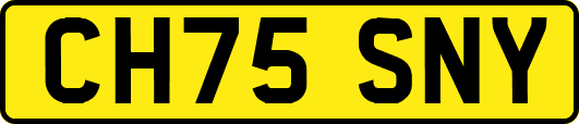 CH75SNY