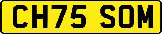 CH75SOM