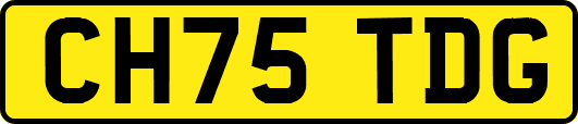 CH75TDG