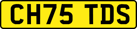CH75TDS