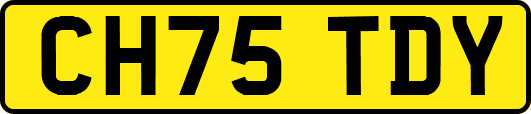 CH75TDY