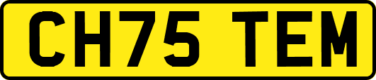 CH75TEM