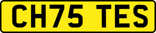 CH75TES