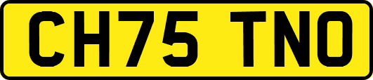 CH75TNO