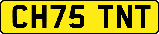 CH75TNT
