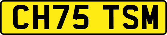 CH75TSM