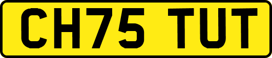 CH75TUT