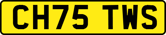 CH75TWS