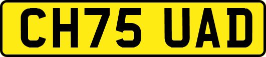 CH75UAD