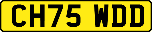 CH75WDD