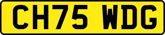 CH75WDG