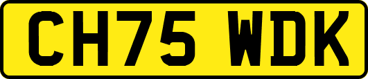CH75WDK