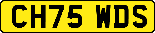 CH75WDS