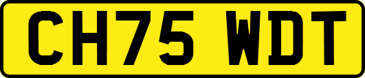 CH75WDT