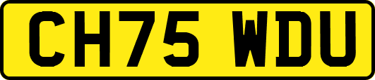 CH75WDU
