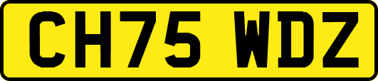 CH75WDZ