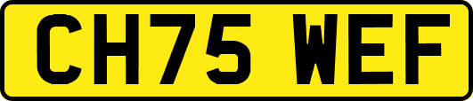 CH75WEF