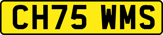 CH75WMS
