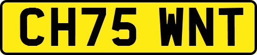 CH75WNT