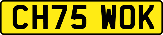 CH75WOK