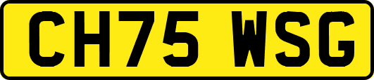 CH75WSG