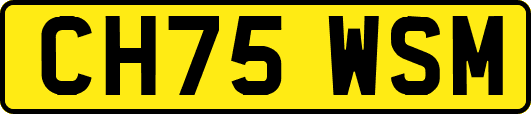 CH75WSM