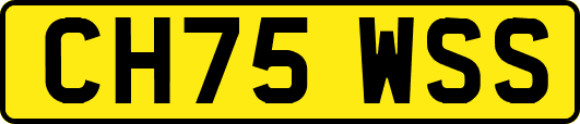 CH75WSS