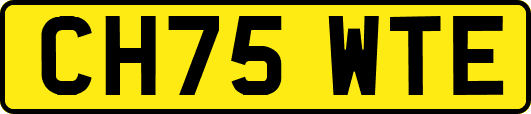 CH75WTE