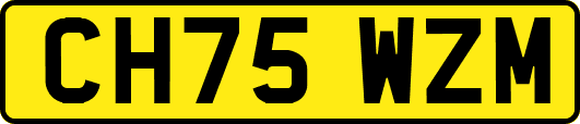 CH75WZM