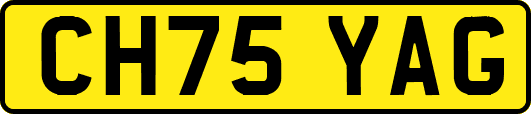 CH75YAG