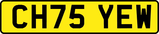 CH75YEW