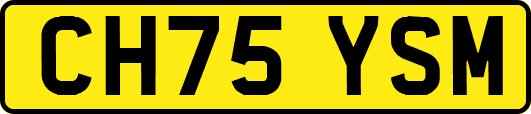 CH75YSM