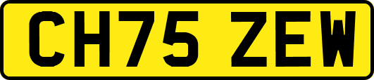 CH75ZEW