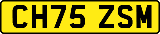 CH75ZSM