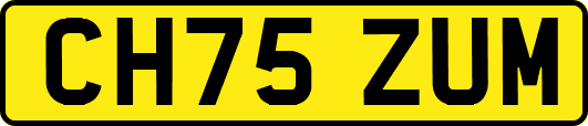 CH75ZUM
