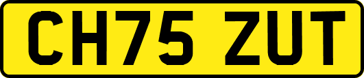 CH75ZUT