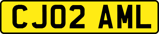 CJ02AML