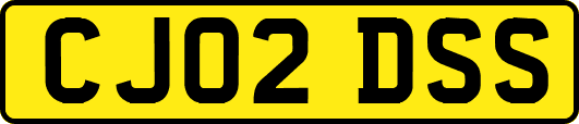 CJ02DSS