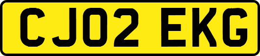 CJ02EKG