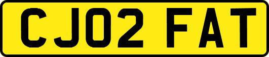 CJ02FAT