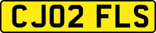 CJ02FLS