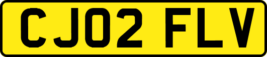 CJ02FLV