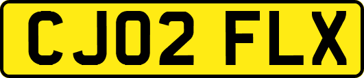 CJ02FLX