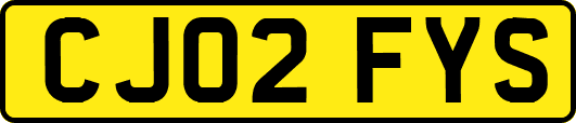 CJ02FYS