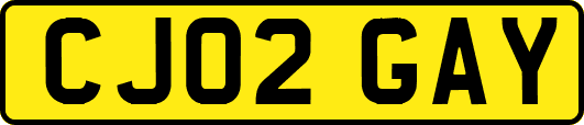CJ02GAY