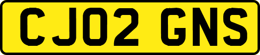 CJ02GNS
