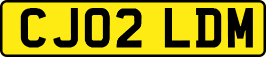 CJ02LDM