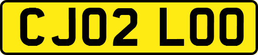 CJ02LOO